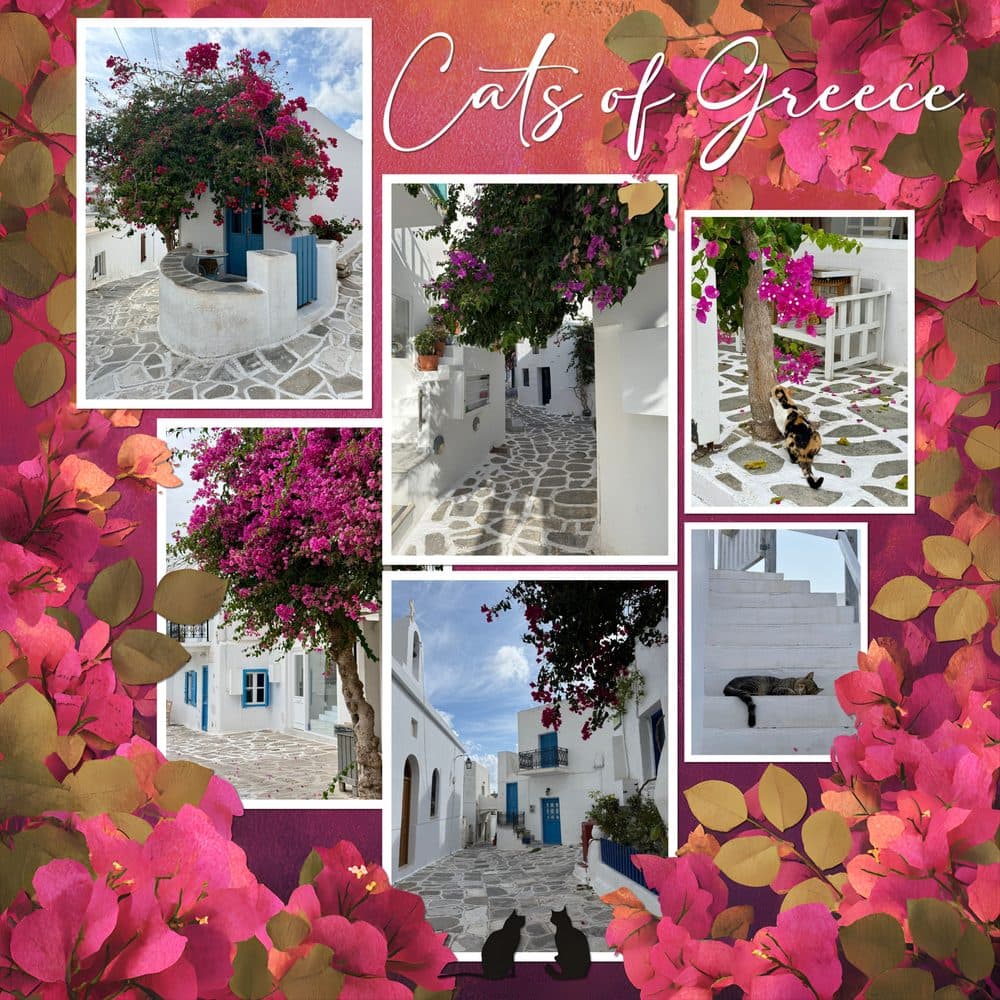 Cats of Greece — scrapbook page made in MyScrapBook Studio